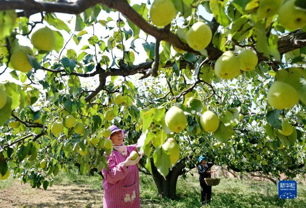 下载app送18元彩金
